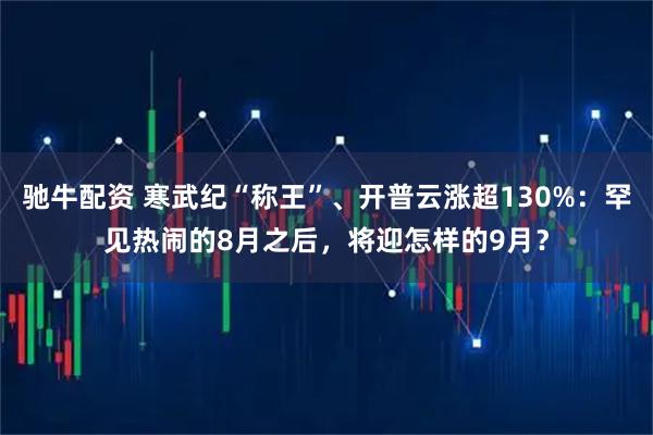 驰牛配资 寒武纪“称王”、开普云涨超130%：罕见热闹的8月之后，将迎怎样的9月？